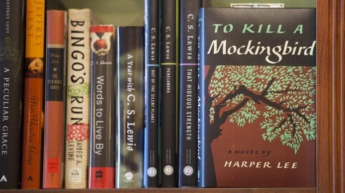 to kill a mockingbird, banned books